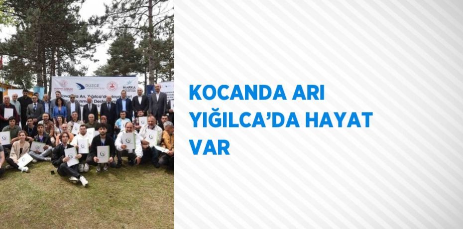KOCANDA ARI YIĞILCA’DA HAYAT VAR