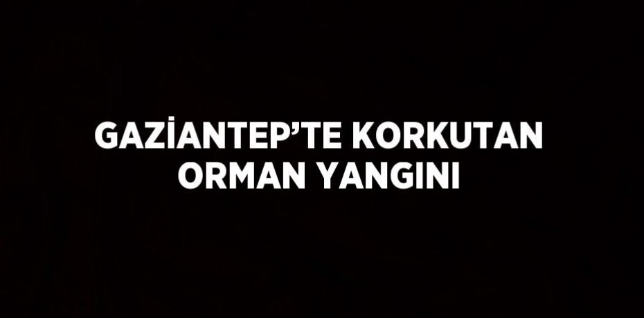 GAZİANTEP’TE KORKUTAN ORMAN YANGINI