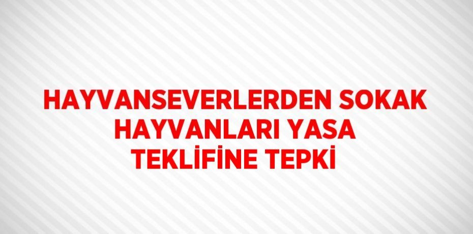 HAYVANSEVERLERDEN SOKAK HAYVANLARI YASA TEKLİFİNE TEPKİ