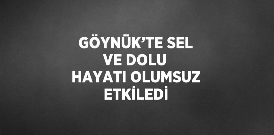 GÖYNÜK’TE SEL VE DOLU HAYATI OLUMSUZ ETKİLEDİ