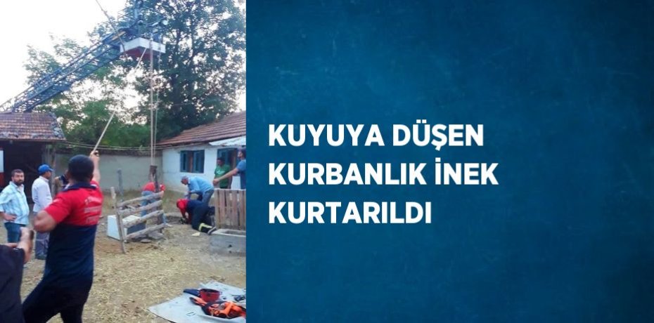 KUYUYA DÜŞEN KURBANLIK İNEK KURTARILDI