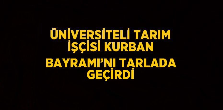 ÜNİVERSİTELİ TARIM İŞÇİSİ KURBAN BAYRAMI’NI TARLADA GEÇİRDİ