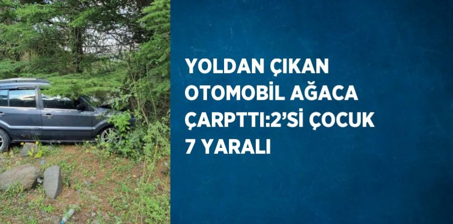 YOLDAN ÇIKAN OTOMOBİL AĞACA ÇARPTTI:2’Sİ ÇOCUK 7 YARALI