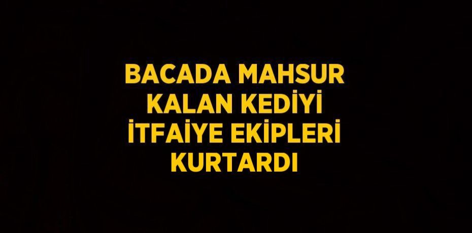BACADA MAHSUR KALAN KEDİYİ İTFAİYE EKİPLERİ KURTARDI