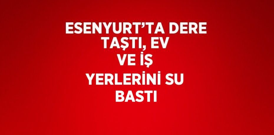 ESENYURT’TA DERE TAŞTI, EV VE İŞ YERLERİNİ SU BASTI
