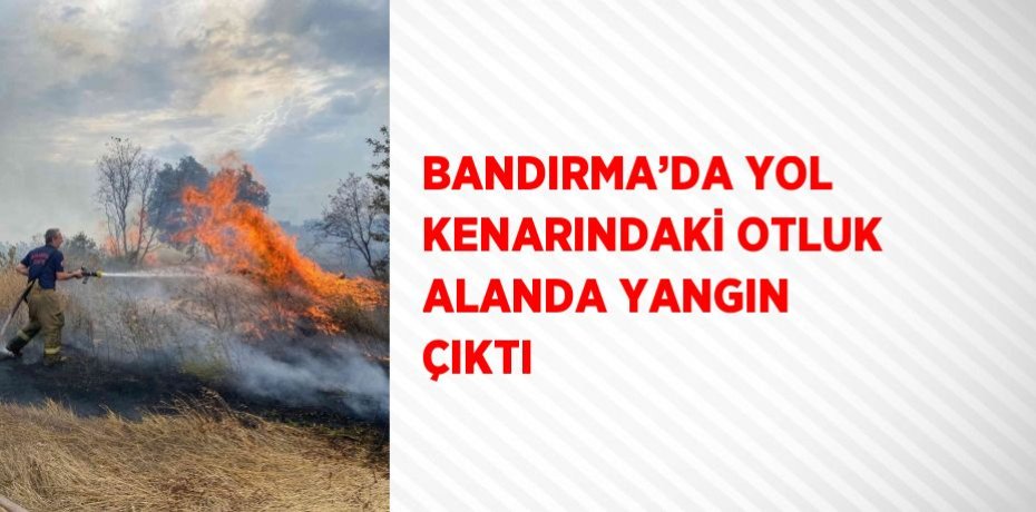 BANDIRMA’DA YOL KENARINDAKİ OTLUK ALANDA YANGIN ÇIKTI
