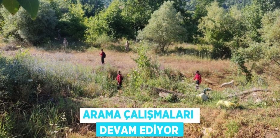 Arama çalışmaları devam ediyor