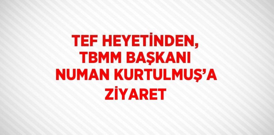 TEF HEYETİNDEN, TBMM BAŞKANI NUMAN KURTULMUŞ’A ZİYARET