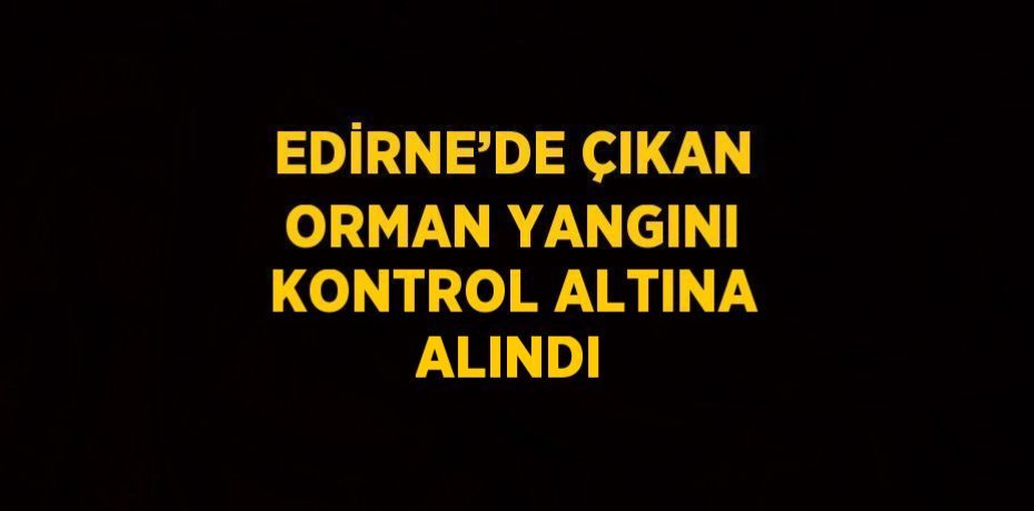 EDİRNE’DE ÇIKAN ORMAN YANGINI KONTROL ALTINA ALINDI