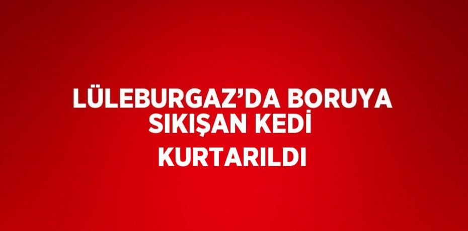LÜLEBURGAZ’DA BORUYA SIKIŞAN KEDİ KURTARILDI