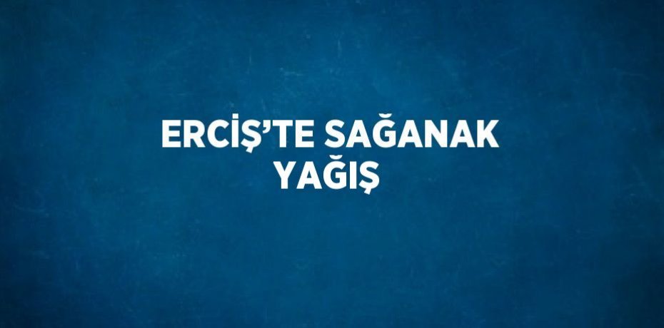 ERCİŞ’TE SAĞANAK YAĞIŞ