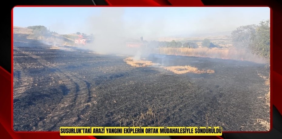 Susurluk'taki arazi yangını ekiplerin ortak müdahalesiyle söndürüldü