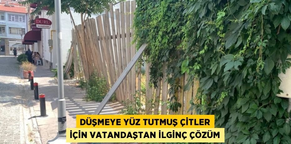 DÜŞMEYE YÜZ TUTMUŞ ÇİTLER İÇİN VATANDAŞTAN İLGİNÇ ÇÖZÜM