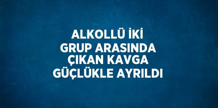 ALKOLLÜ İKİ GRUP ARASINDA ÇIKAN KAVGA GÜÇLÜKLE AYRILDI