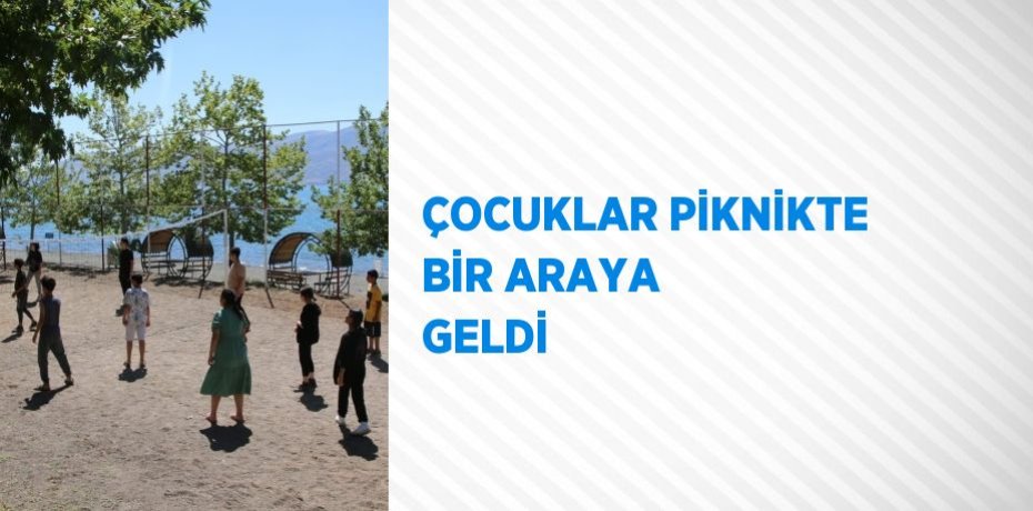 ÇOCUKLAR PİKNİKTE BİR ARAYA GELDİ