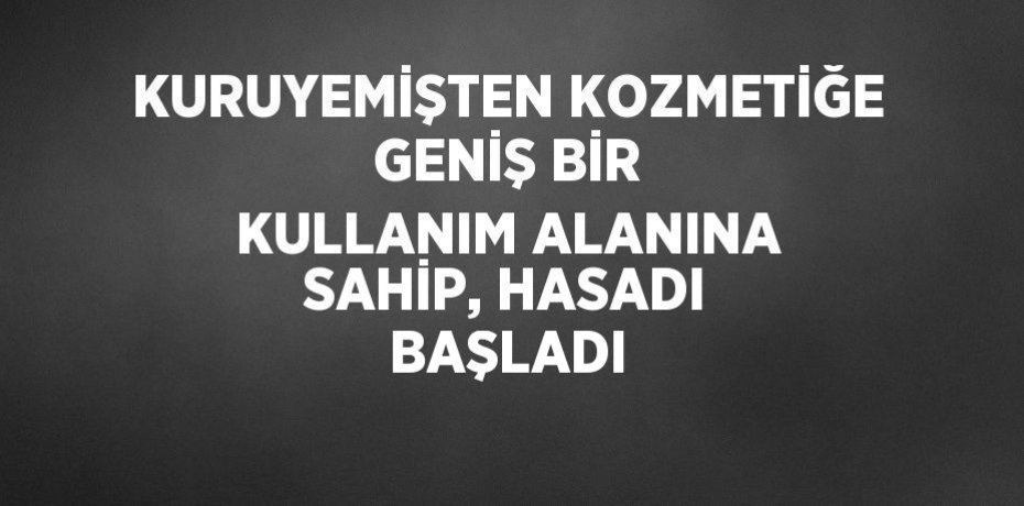 KURUYEMİŞTEN KOZMETİĞE GENİŞ BİR KULLANIM ALANINA SAHİP, HASADI BAŞLADI