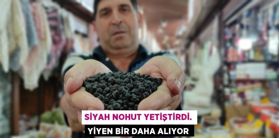 Siyah nohut yetiştirdi. yiyen bir daha alıyor