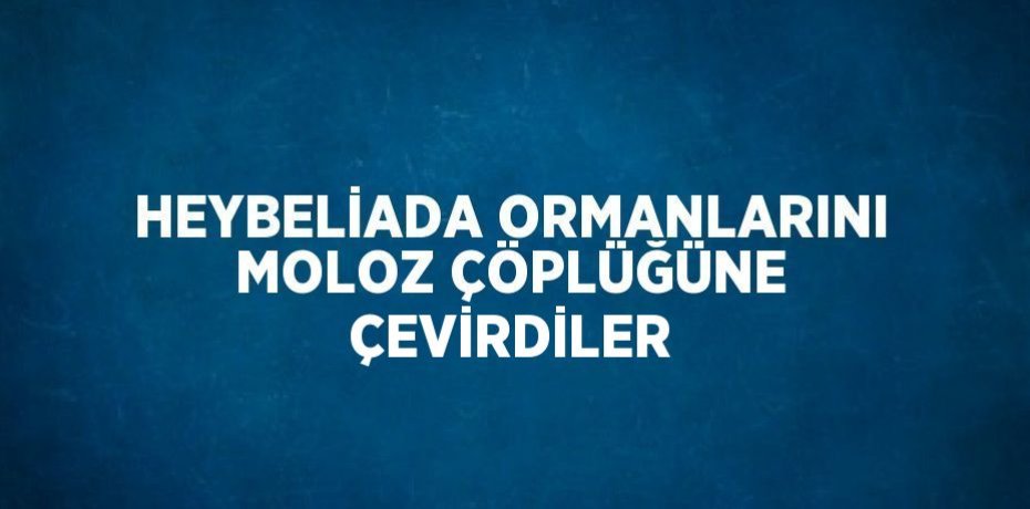 HEYBELİADA ORMANLARINI MOLOZ ÇÖPLÜĞÜNE ÇEVİRDİLER