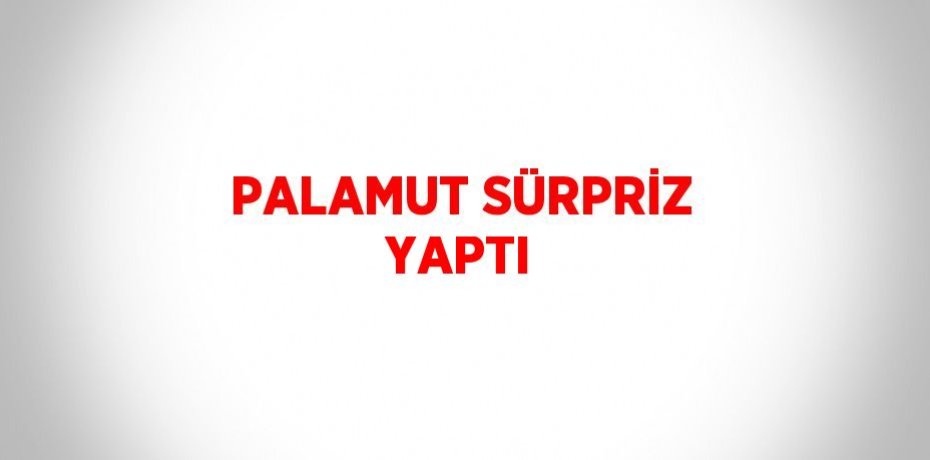PALAMUT SÜRPRİZ YAPTI