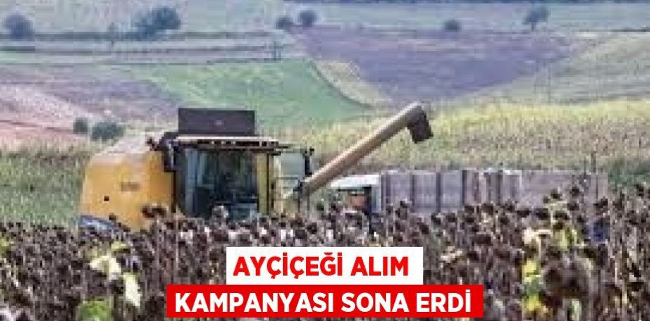 AYÇİÇEĞİ ALIM KAMPANYASI SONA ERDİ