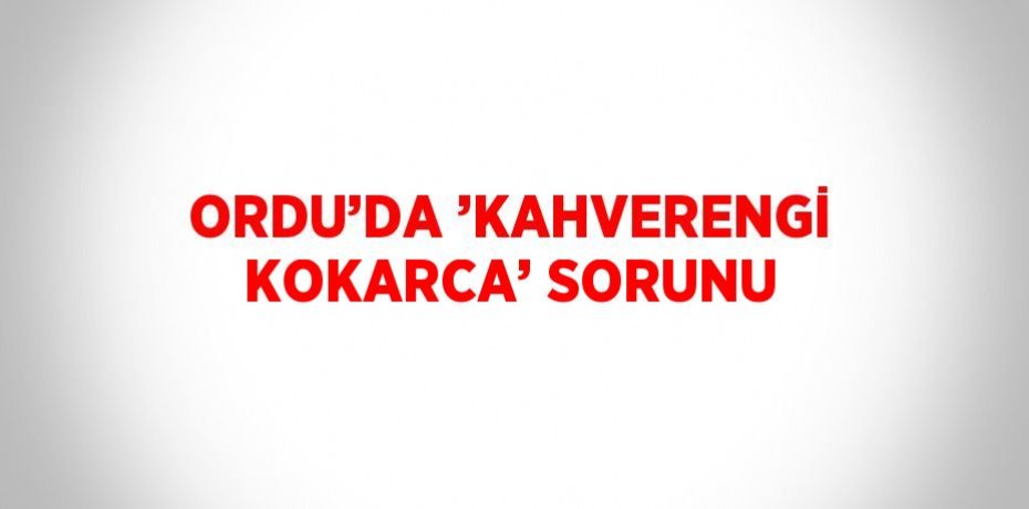 ORDU’DA ’KAHVERENGİ KOKARCA’ SORUNU