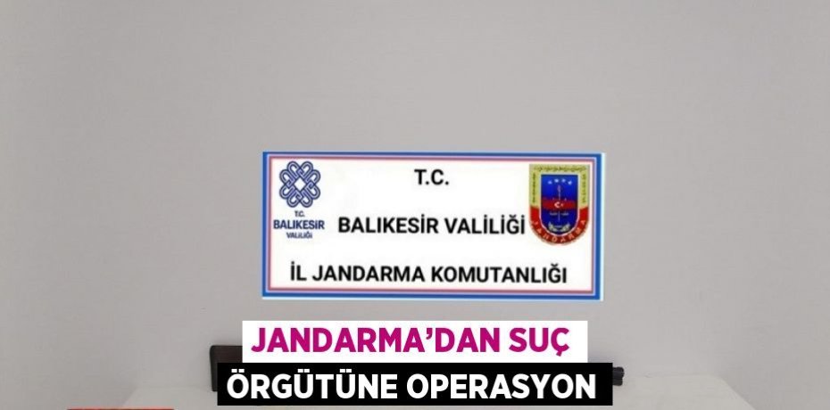 JANDARMA’DAN SUÇ ÖRGÜTÜNE OPERASYON