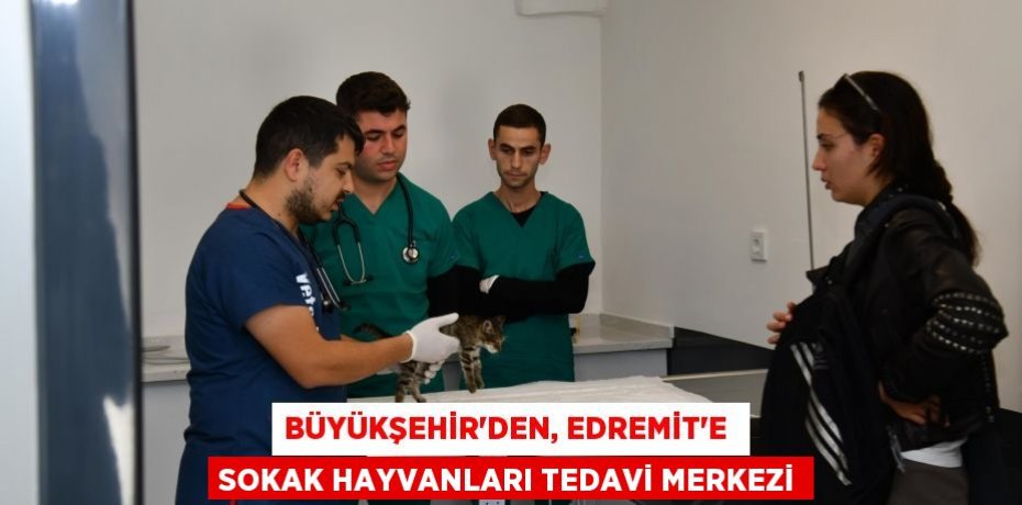 BÜYÜKŞEHİR’DEN, EDREMİT’E  SOKAK HAYVANLARI TEDAVİ MERKEZİ