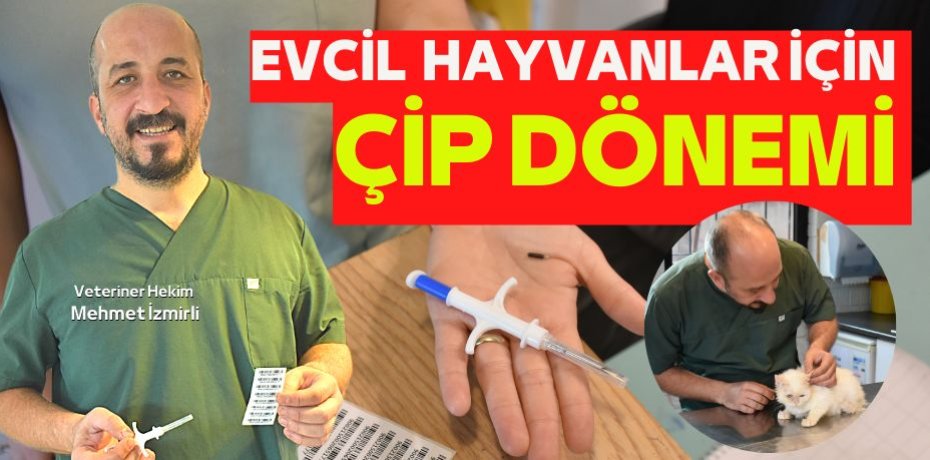 EVCİL HAYVANLAR İÇİN ÇİP DÖNEMİ