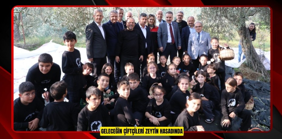 Geleceğin çiftçileri zeytin hasadında