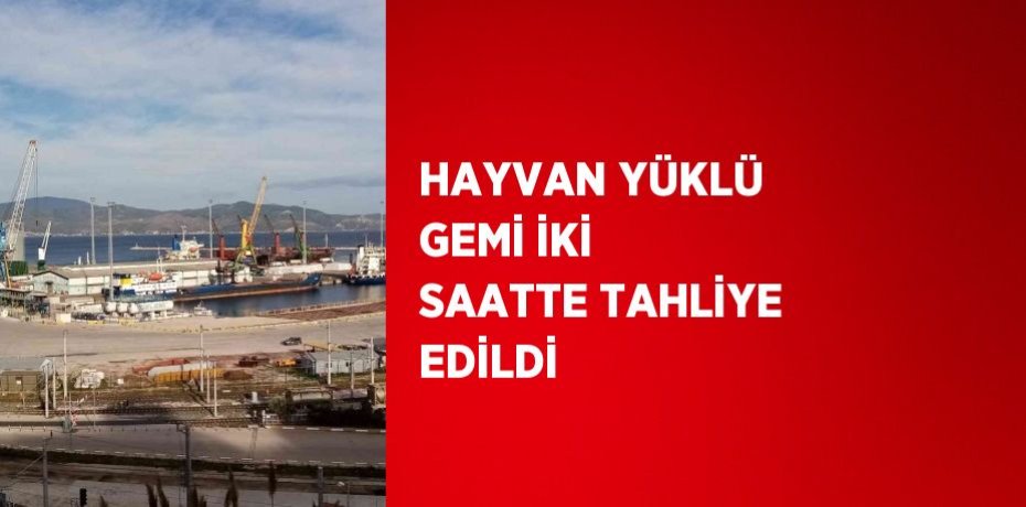 HAYVAN YÜKLÜ GEMİ İKİ SAATTE TAHLİYE EDİLDİ