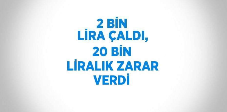 2 BİN LİRA ÇALDI, 20 BİN LİRALIK ZARAR VERDİ
