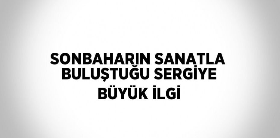 SONBAHARIN SANATLA BULUŞTUĞU SERGİYE BÜYÜK İLGİ