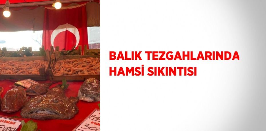 BALIK TEZGAHLARINDA HAMSİ SIKINTISI