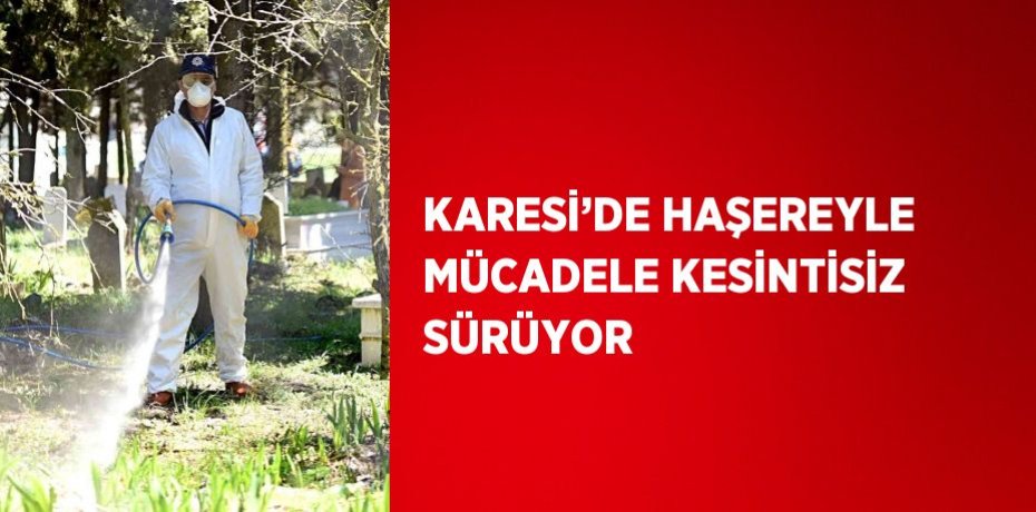 KARESİ’DE HAŞEREYLE MÜCADELE KESİNTİSİZ SÜRÜYOR