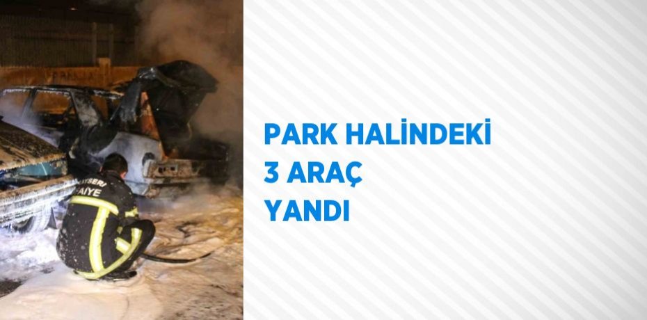 PARK HALİNDEKİ 3 ARAÇ YANDI