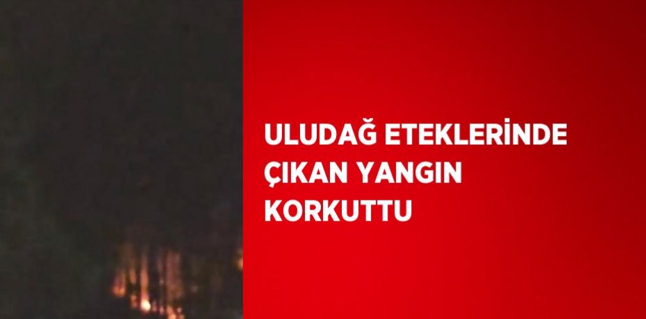 ULUDAĞ ETEKLERİNDE ÇIKAN YANGIN KORKUTTU