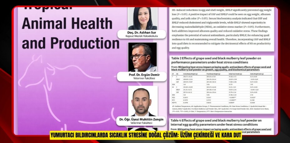 YUMURTACI BILDIRCINLARDA SICAKLIK STRESİNE DOĞAL ÇÖZÜM: ÜZÜM ÇEKİRDEĞİ VE KARA DUT