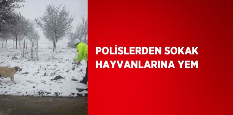 POLİSLERDEN SOKAK HAYVANLARINA YEM