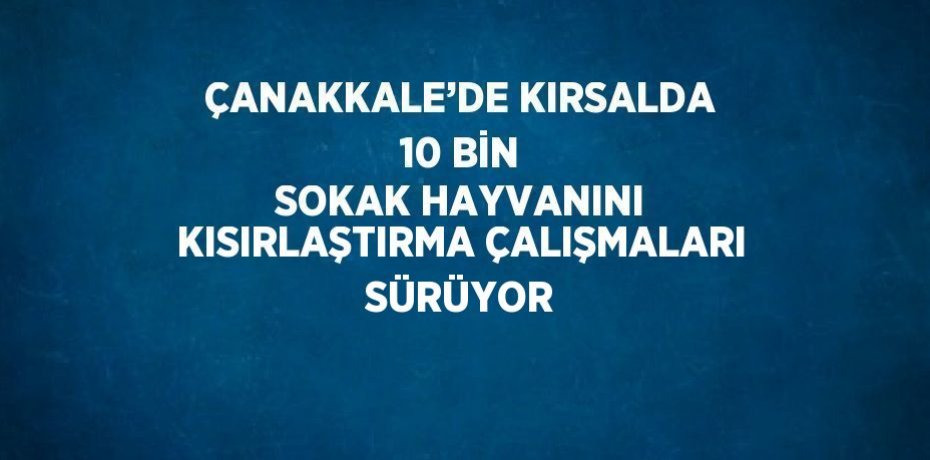 ÇANAKKALE’DE KIRSALDA 10 BİN SOKAK HAYVANINI KISIRLAŞTIRMA ÇALIŞMALARI SÜRÜYOR
