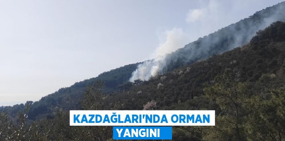 Kazdağları’nda orman yangını  