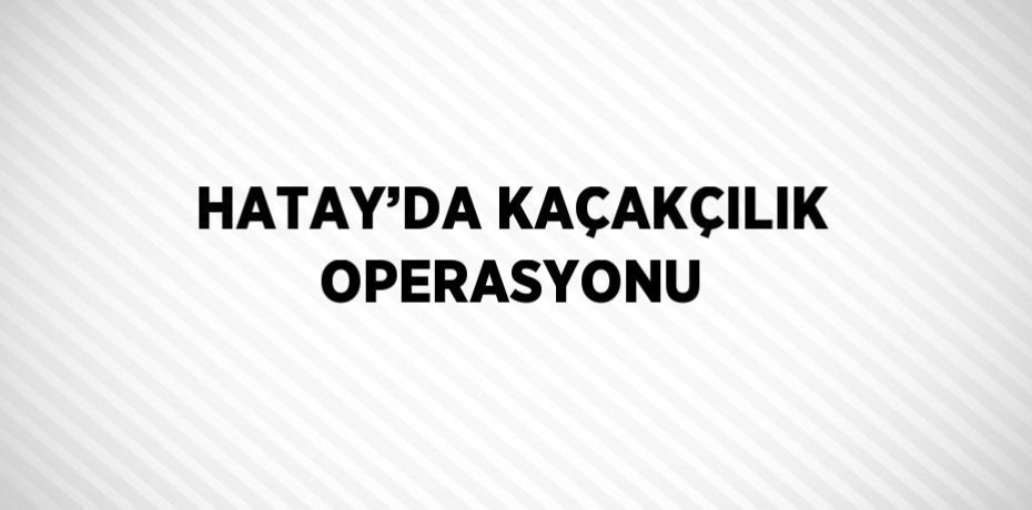 HATAY’DA KAÇAKÇILIK OPERASYONU