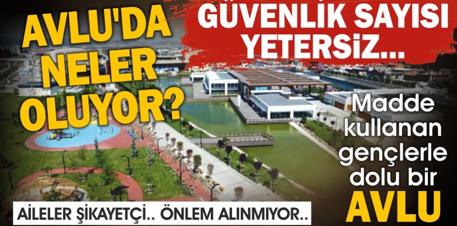 AVLU'DA NELER OLUYOR?