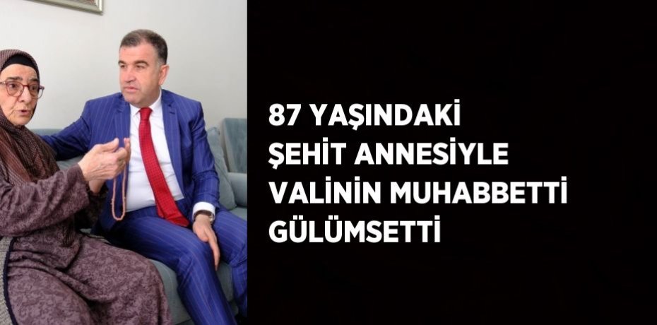 87 YAŞINDAKİ ŞEHİT ANNESİYLE VALİNİN MUHABBETTİ GÜLÜMSETTİ