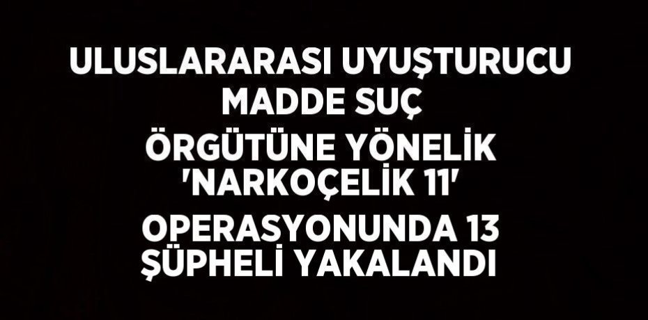 ULUSLARARASI UYUŞTURUCU MADDE SUÇ ÖRGÜTÜNE YÖNELİK 'NARKOÇELİK 11' OPERASYONUNDA 13 ŞÜPHELİ YAKALANDI