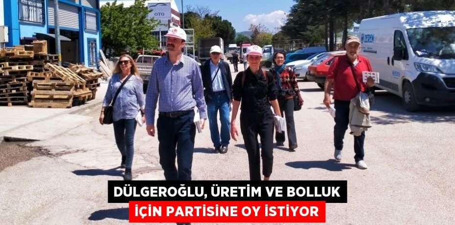 Dülgeroğlu, üretim ve bolluk için partisine oy istiyor
