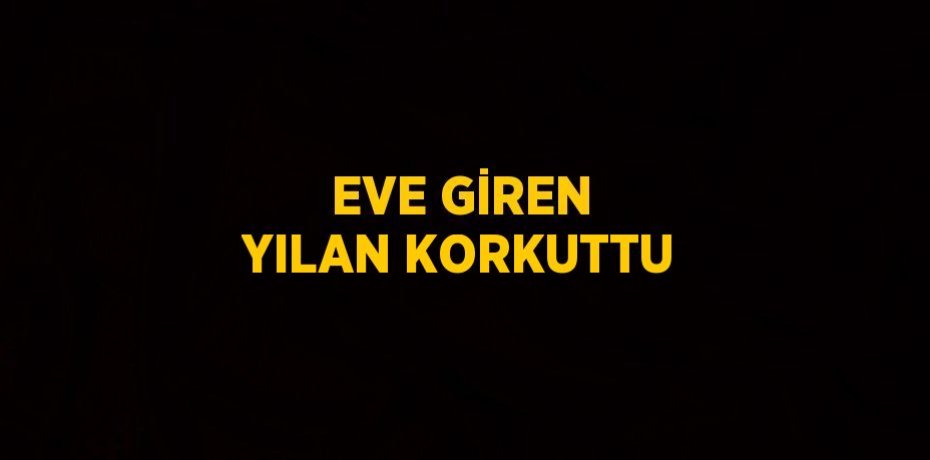 EVE GİREN YILAN KORKUTTU
