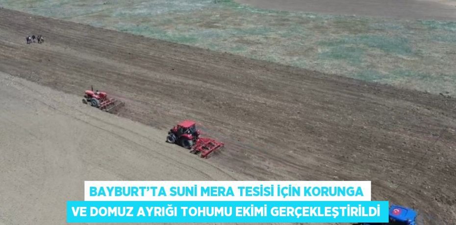 BAYBURT’TA SUNİ MERA TESİSİ İÇİN KORUNGA VE DOMUZ AYRIĞI TOHUMU EKİMİ GERÇEKLEŞTİRİLDİ
