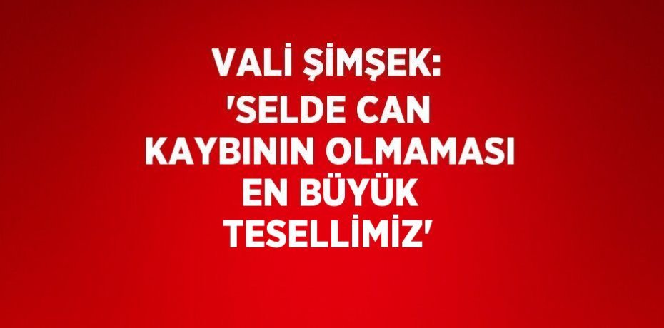 VALİ ŞİMŞEK: 'SELDE CAN KAYBININ OLMAMASI EN BÜYÜK TESELLİMİZ'