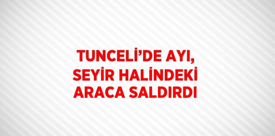 TUNCELİ’DE AYI, SEYİR HALİNDEKİ ARACA SALDIRDI