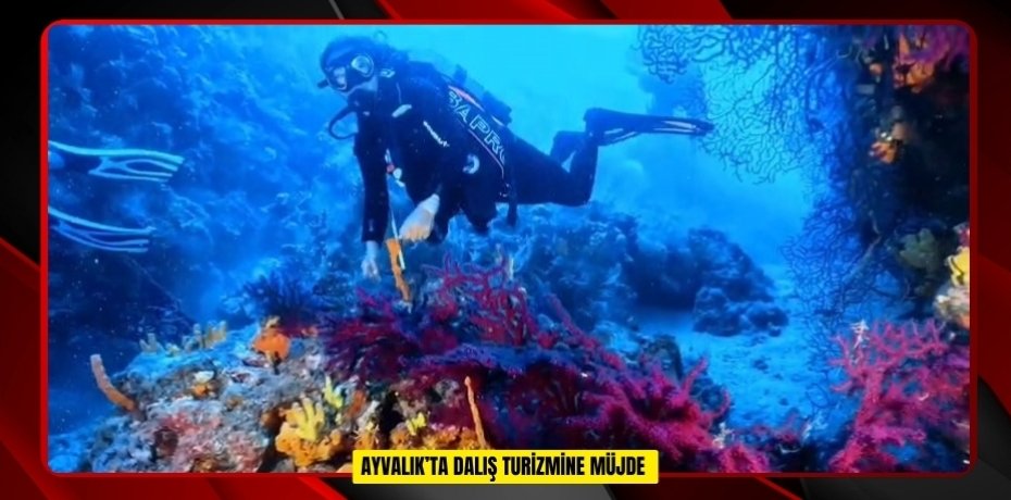 Ayvalık’ta dalış turizmine müjde  